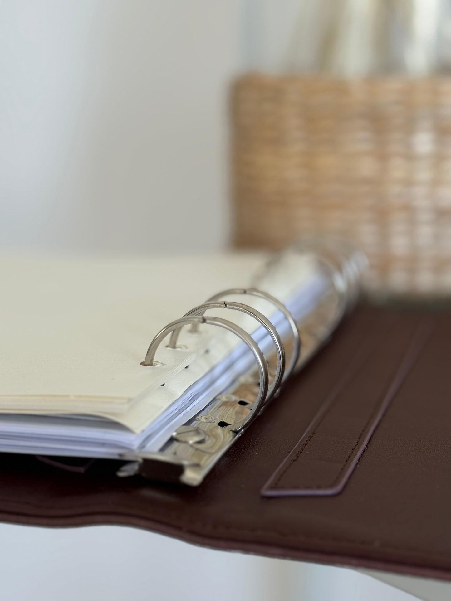 Planner Croco